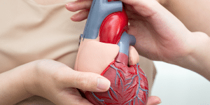 Cardiovascular Risk Assessment Online Training